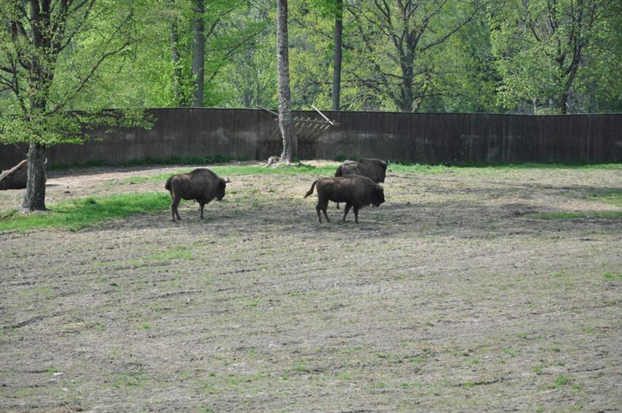 Folwark Mazurskie Legendy Kruklanki Exterior foto
